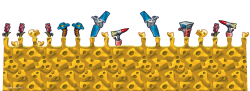 217355