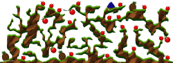 215959