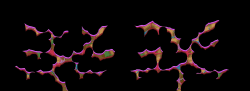 218647